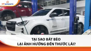 tai-sao-bat-beo-lai-anh-huong-canh-chinh-thuoc-lai